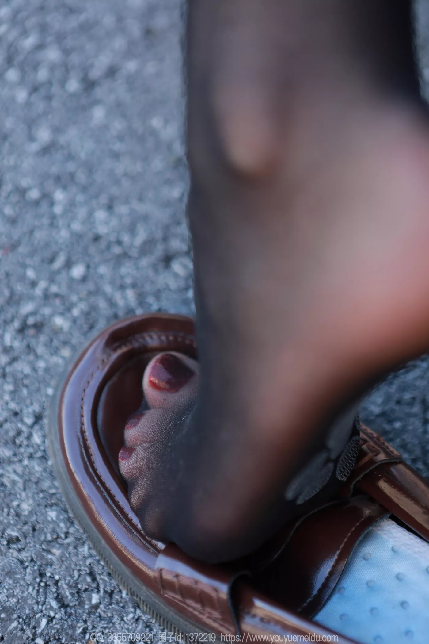 图片[26]-[IESS异思趣向] 2024.12.05 丝享家1916：团团《阳光黑丝》[88P] – 速更版-美库