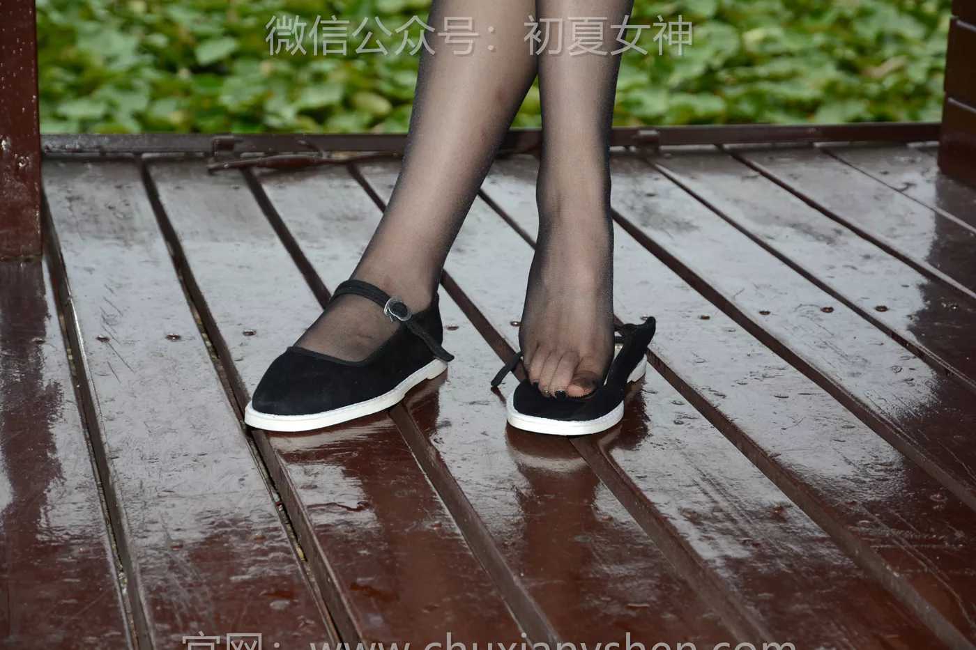 图片[13]-初夏女神 NO.255 环环 传统旗袍[106P] – 速更版-美库