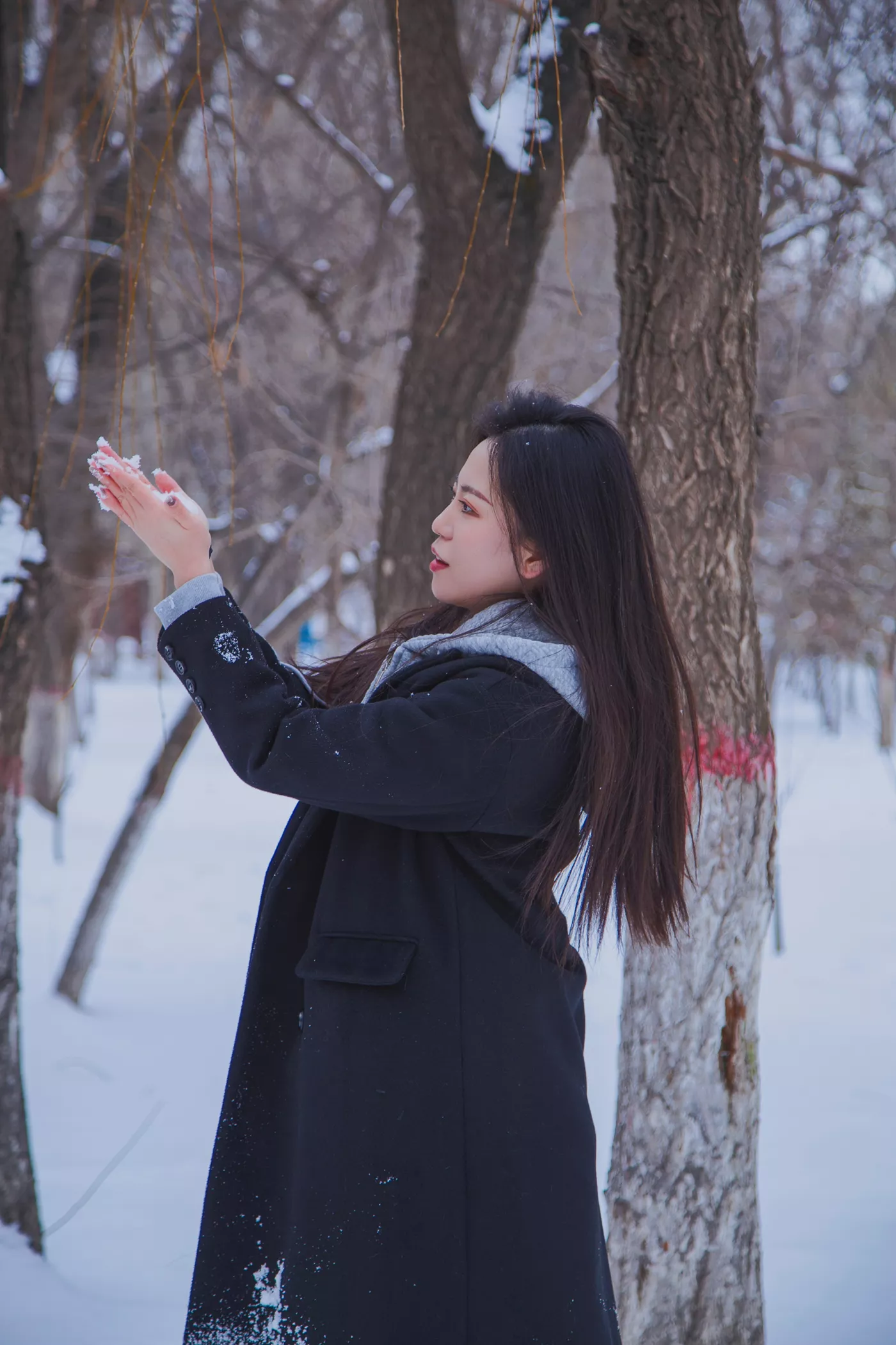 图片[26]-[织梦映像]NO.060 踏雪无痕-首次雪景拍摄，天寒地冻[200P] – 速更版-美库