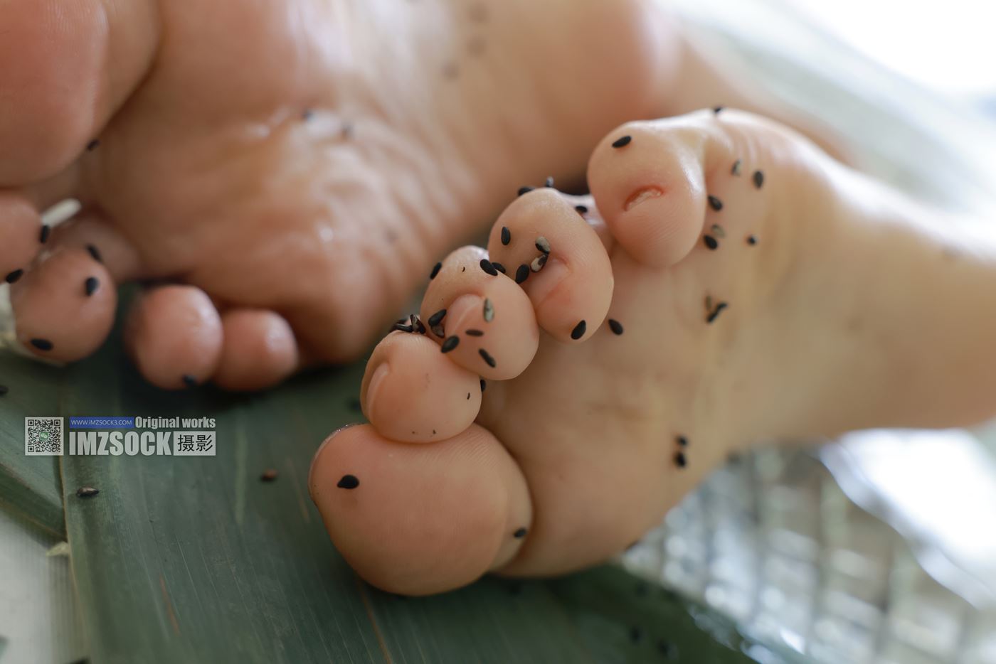 图片[104]-[MZSOCK]爱美足 NO.308 倩儿[116P] – 速更版-美库