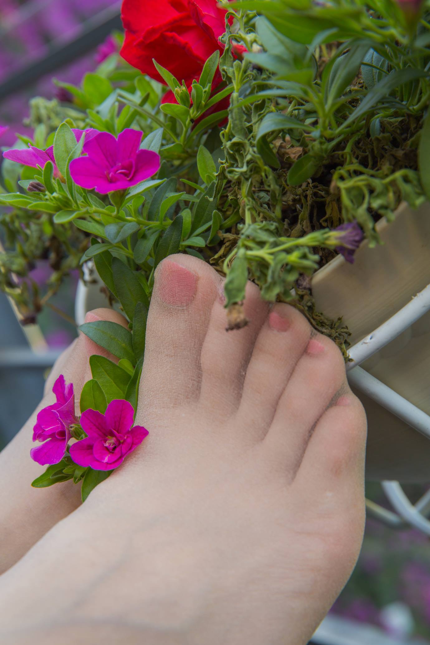 图片[71]-Sia不吃鱼  – 闻香识女人[125P] – 速更版-美库