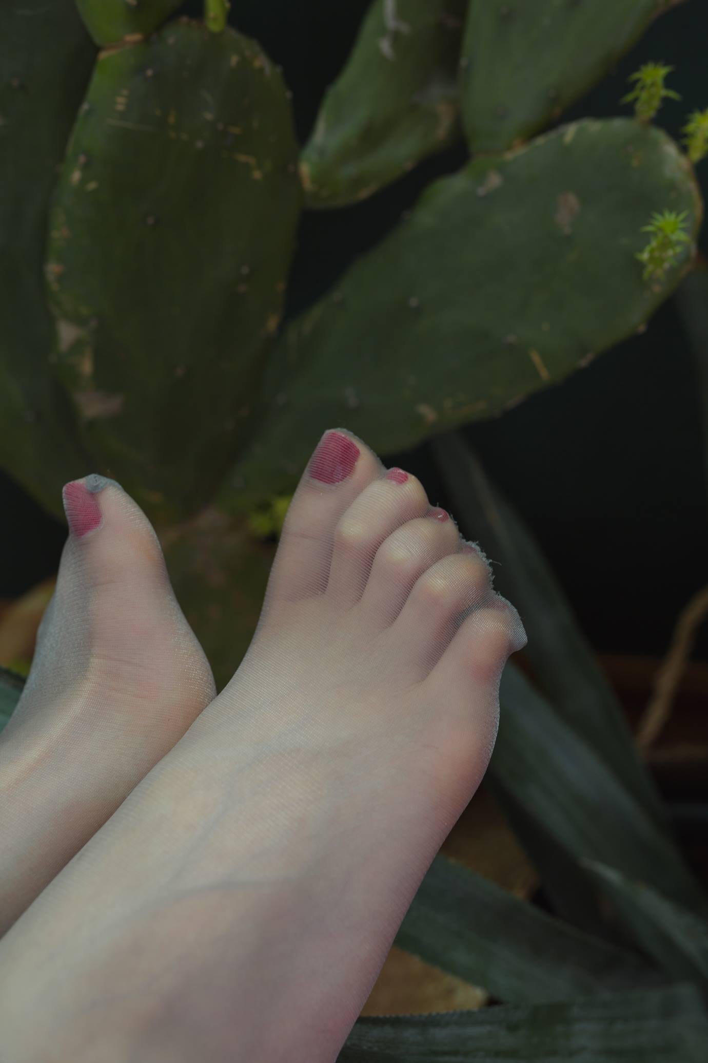 图片[100]-Sia不吃鱼 – 思念[142P] – 速更版-美库