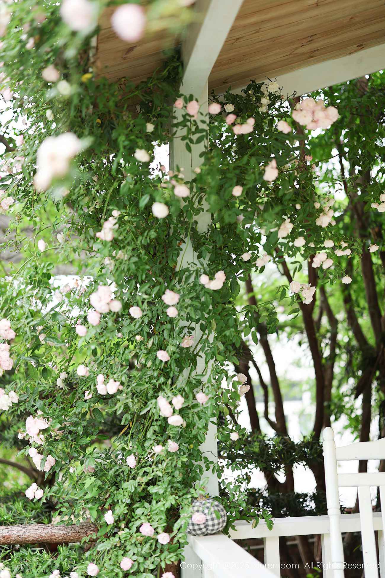 图片[26]-[Xiuren秀人网]2025.04.29 NO.10215 茂木希子[57+1P] – 速更版-美库