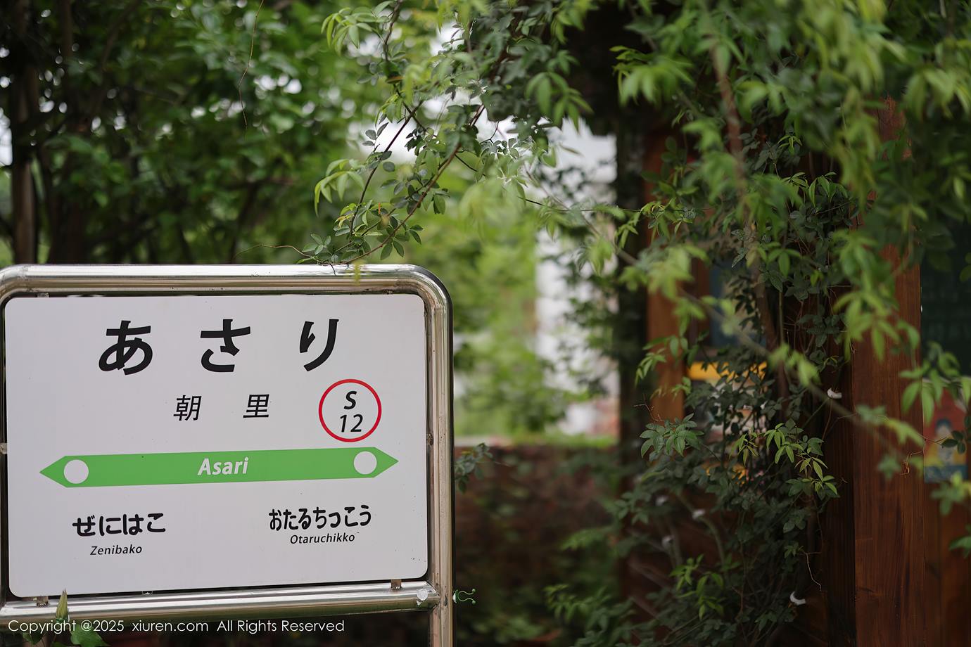 图片[55]-[Xiuren秀人网]2025.04.29 NO.10215 茂木希子[57+1P] – 速更版-美库