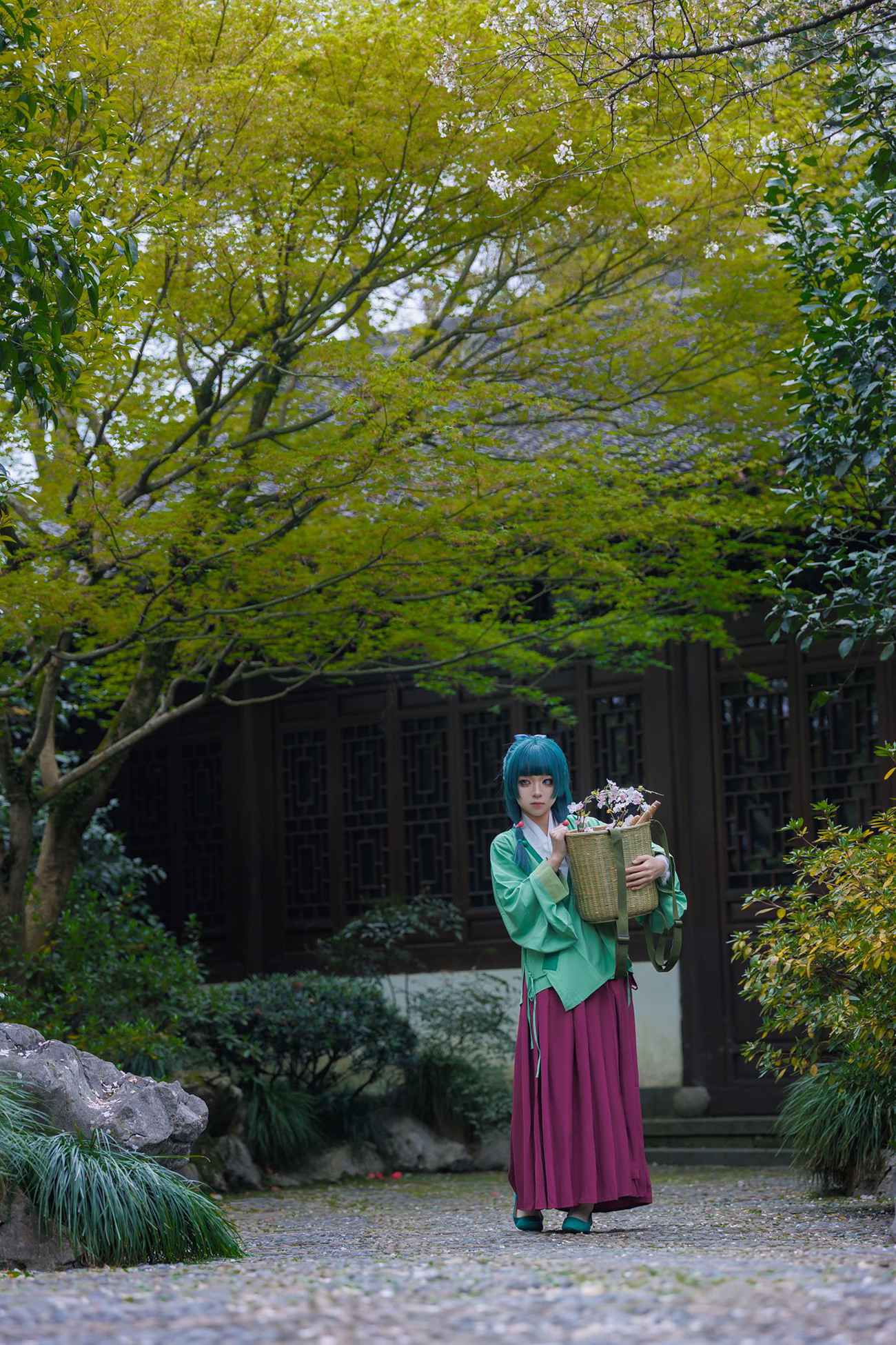 图片[20]-矢量鱼 – Maomao[52P] – 速更版-美库