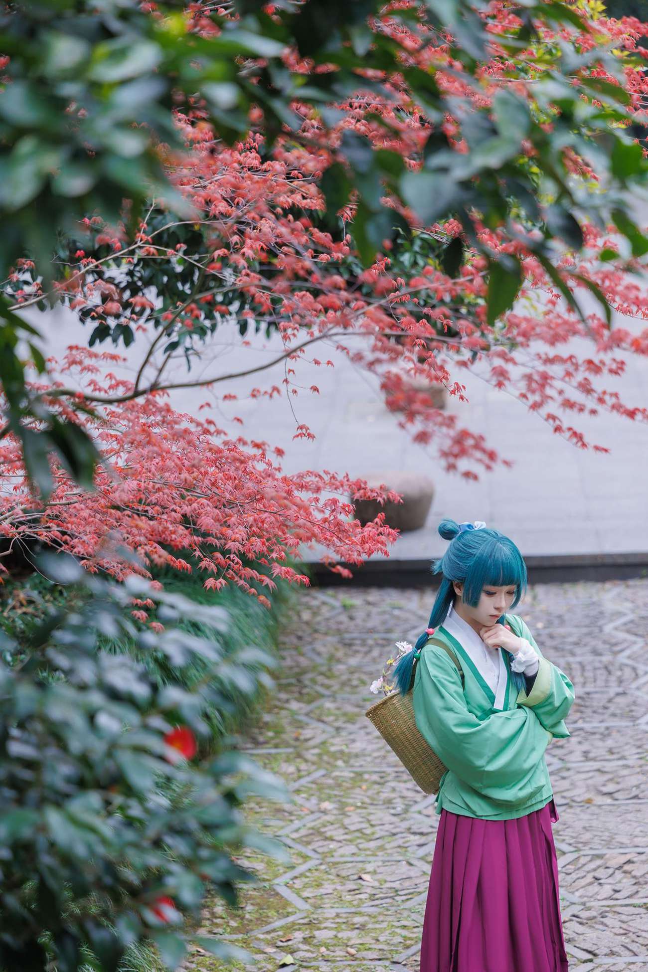 图片[26]-矢量鱼 – Maomao[52P] – 速更版-美库