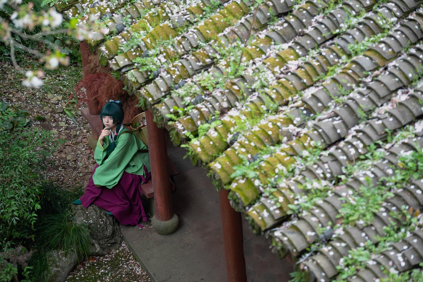 图片[28]-矢量鱼 – Maomao[52P] – 速更版-美库