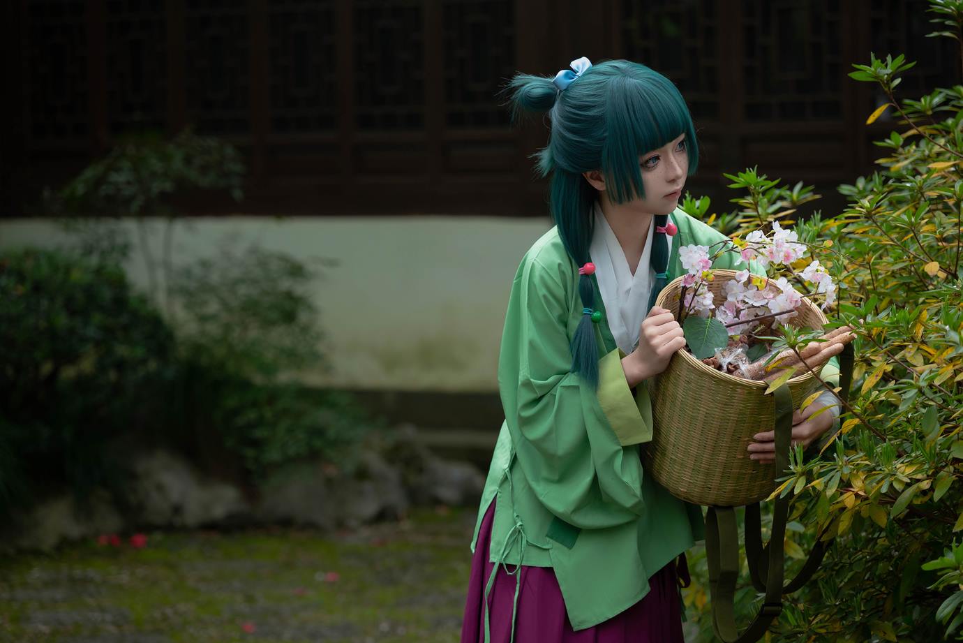 图片[37]-矢量鱼 – Maomao[52P] – 速更版-美库