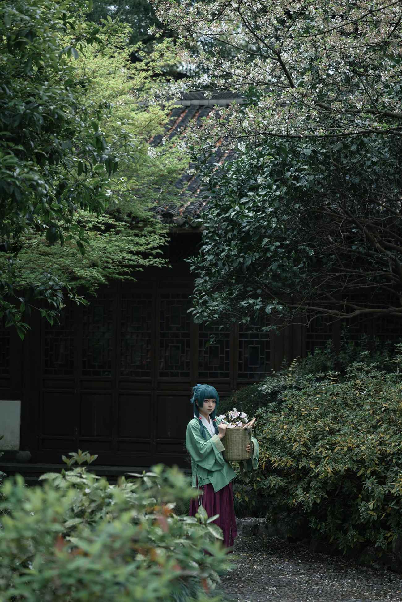 图片[43]-矢量鱼 – Maomao[52P] – 速更版-美库