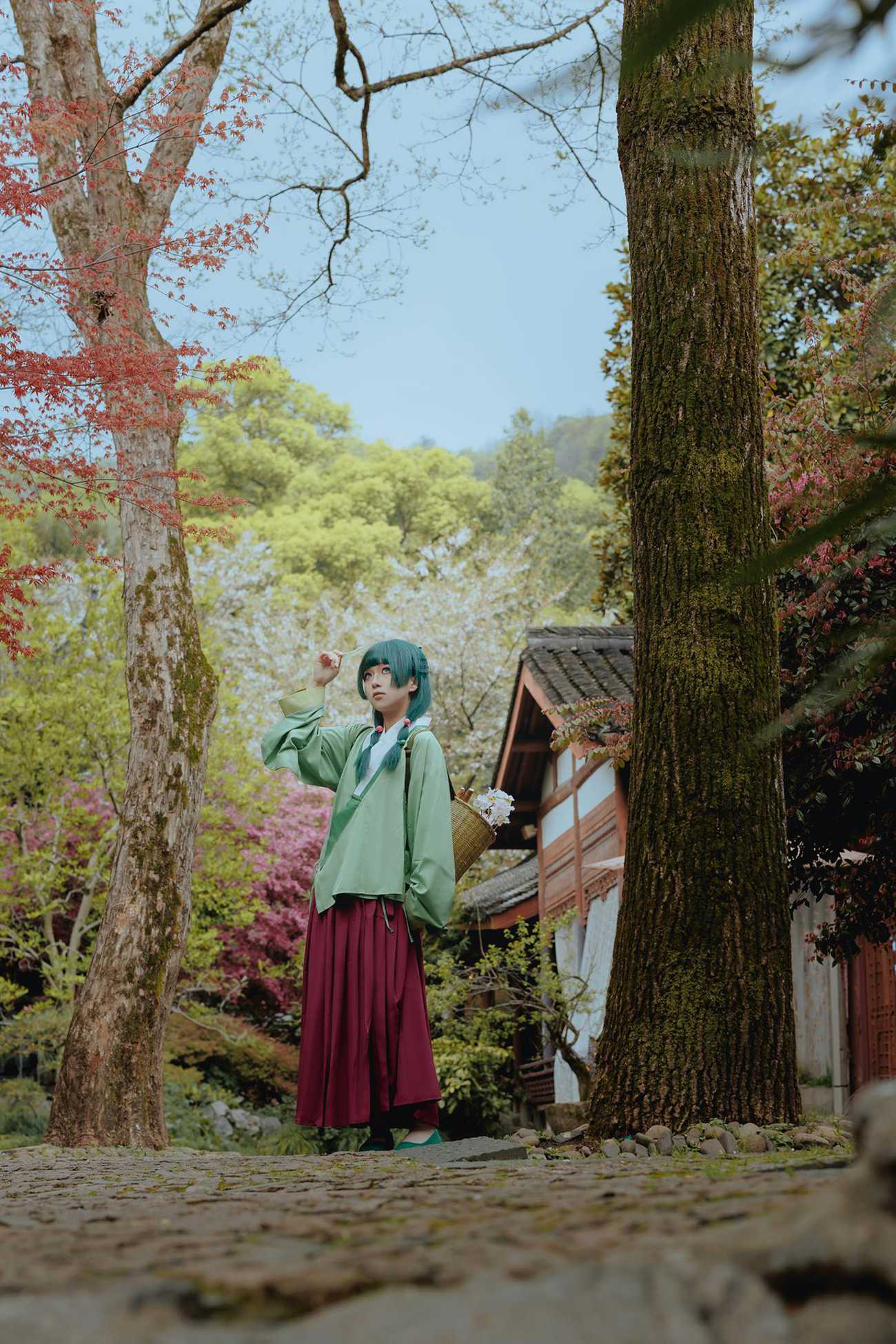 图片[51]-矢量鱼 – Maomao[52P] – 速更版-美库