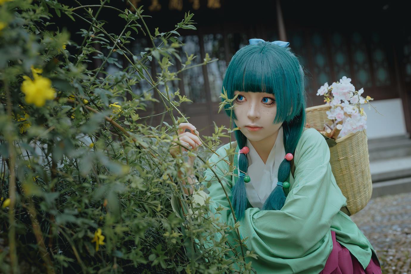 图片[53]-矢量鱼 – Maomao[52P] – 速更版-美库