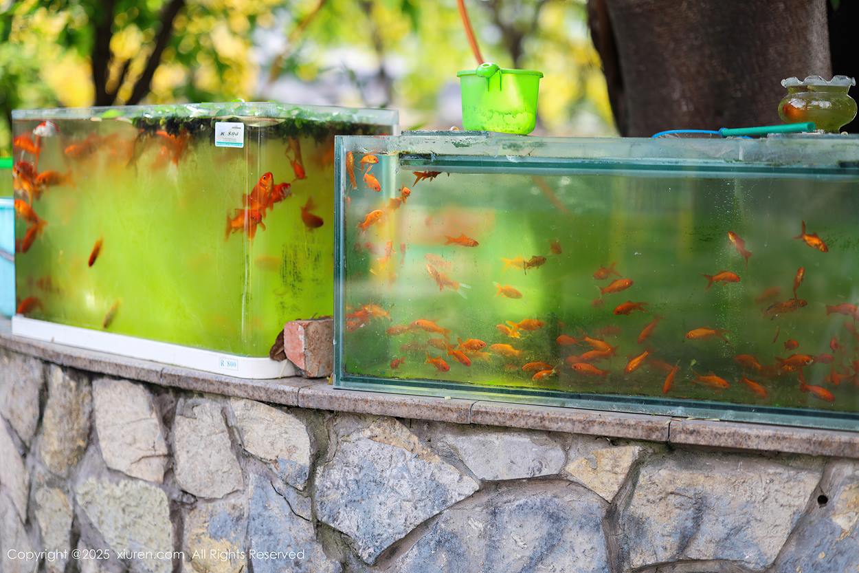 图片[27]-[Xiuren秀人网]2025.05.08 NO.10247 茂木希子[32+1P] – 速更版-美库