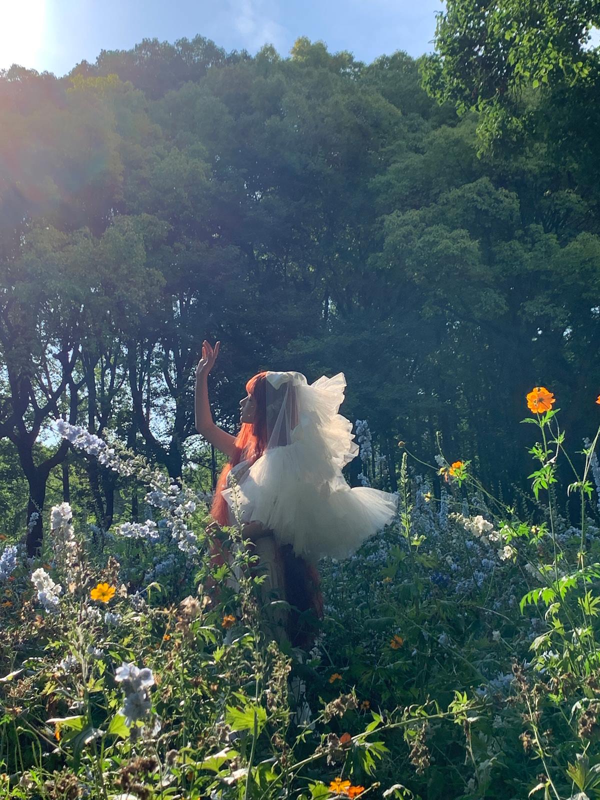 图片[61]-蠢沫沫 – 花丛婚纱[67P] – 速更版-美库