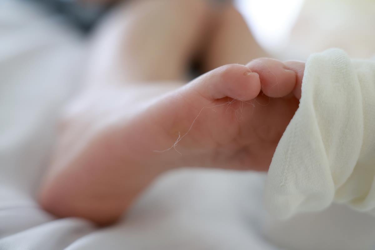 图片[64]-[MZSOCK]爱美足 NO.316 小点心[121P] – 速更版-美库