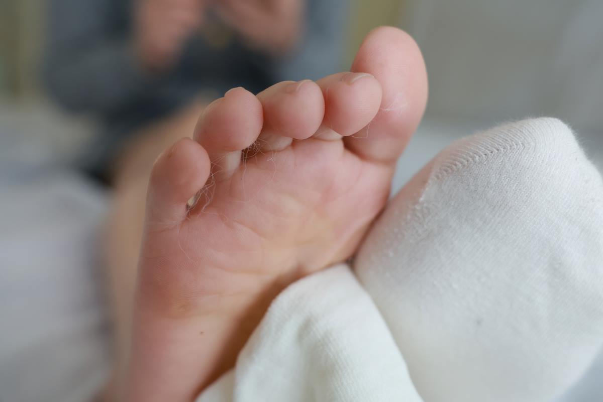 图片[74]-[MZSOCK]爱美足 NO.316 小点心[121P] – 速更版-美库