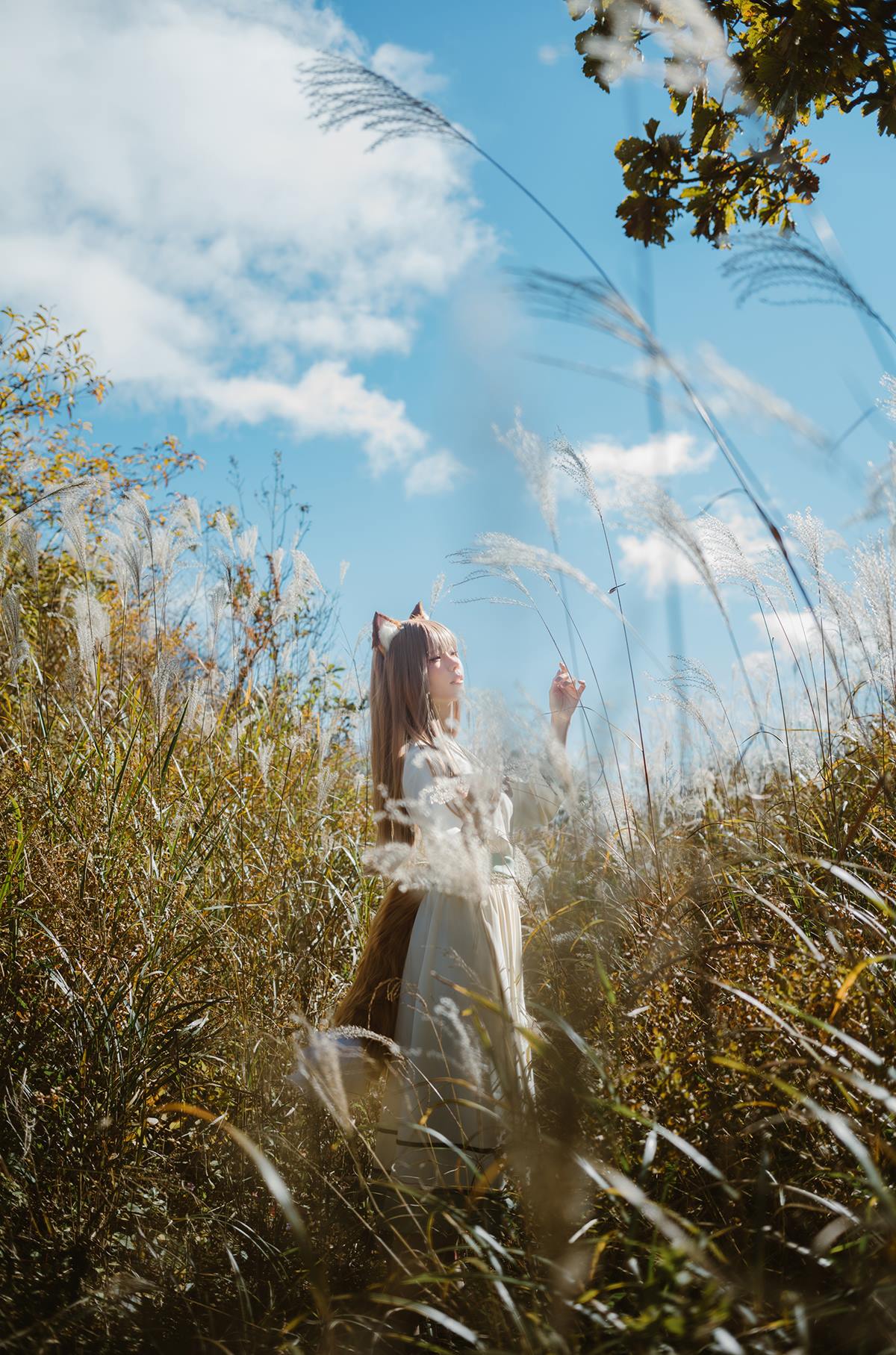 图片[32]-Ely_eee(ElyEE子) – Breeze 狼與微風[34P] – 速更版-美库