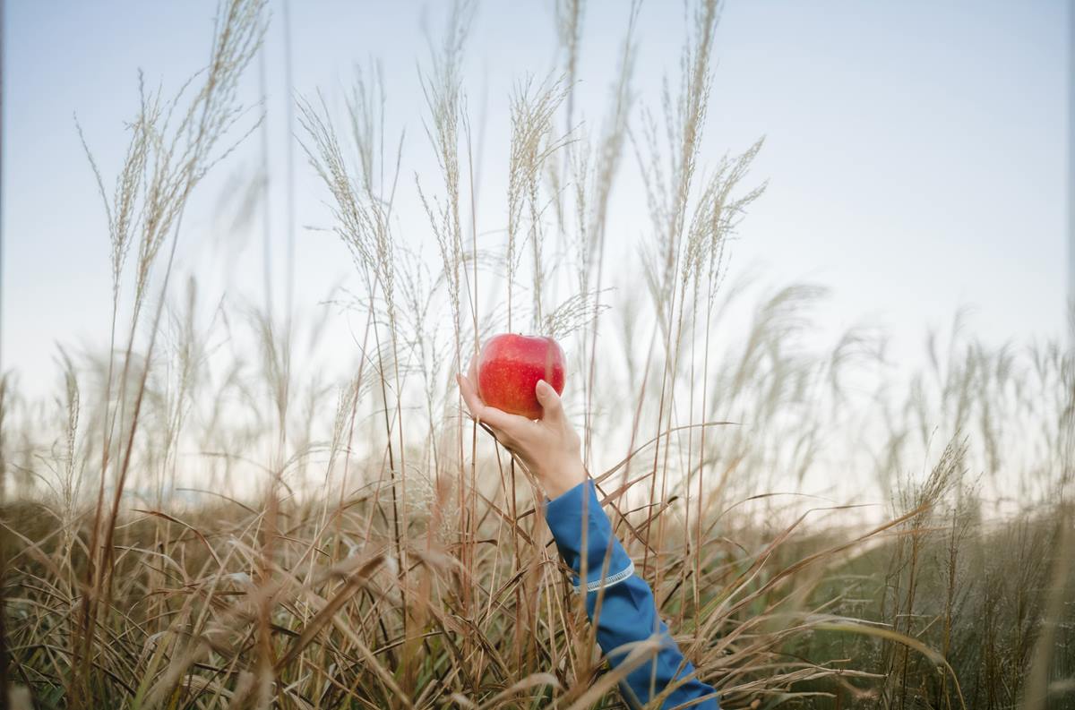 图片[42]-Ely_eee(ElyEE子) – Soft Glow 狼與暖陽[52P] – 速更版-美库