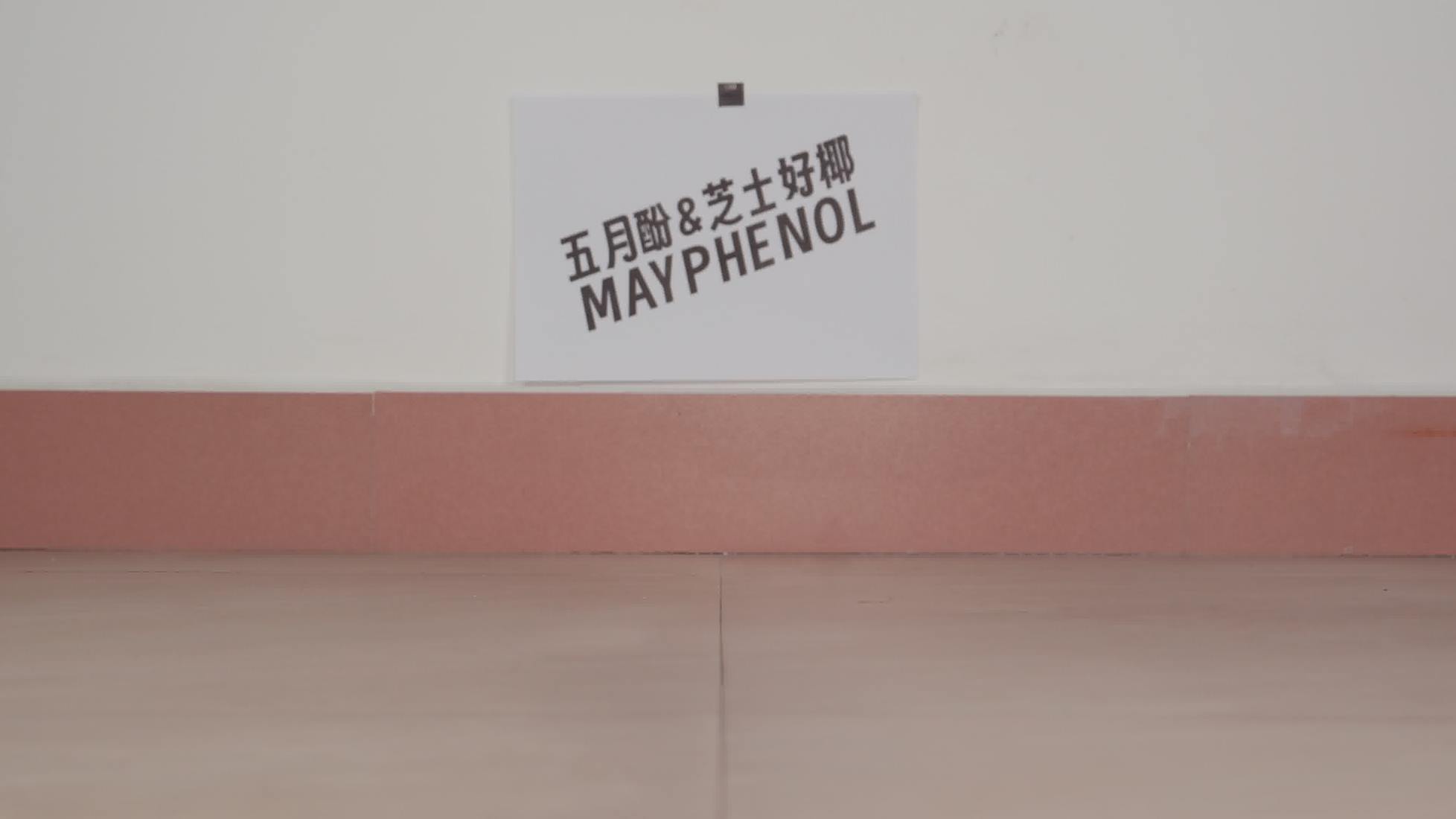 图片[16]-芝士好椰 NO.097 – 听！把麦克风别在鞋上！黑色维莉雅[31P] – 速更版-美库