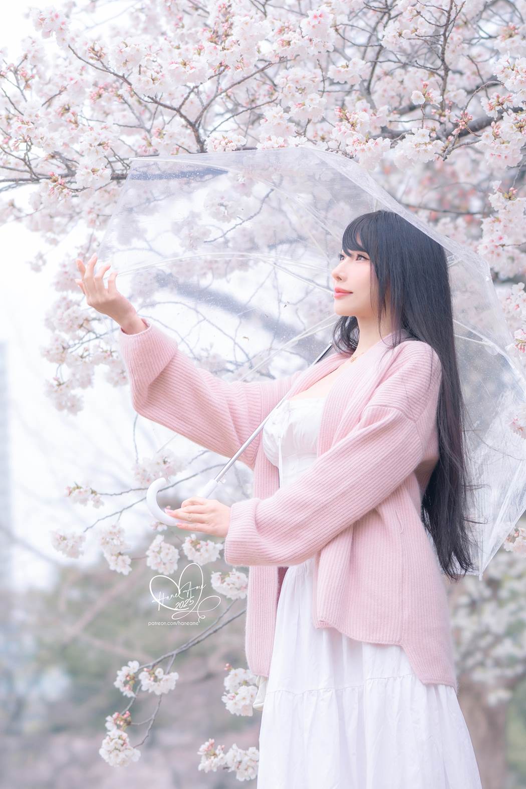 图片[14]-Hane Ame 雨波写真 NO.258 – 雨樱下的约定[63P] – 速更版-美库