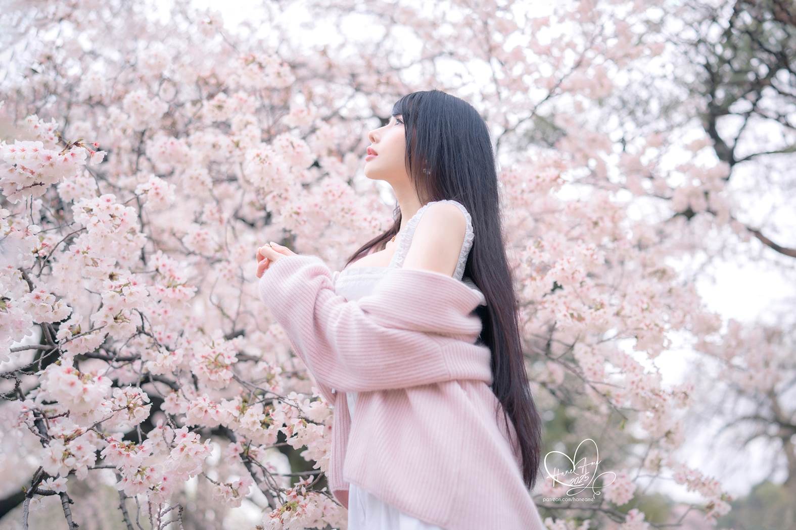 图片[17]-Hane Ame 雨波写真 NO.258 – 雨樱下的约定[63P] – 速更版-美库