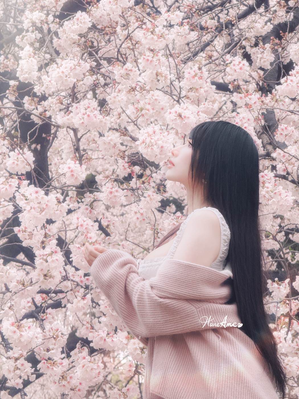 图片[29]-Hane Ame 雨波写真 NO.258 – 雨樱下的约定[63P] – 速更版-美库