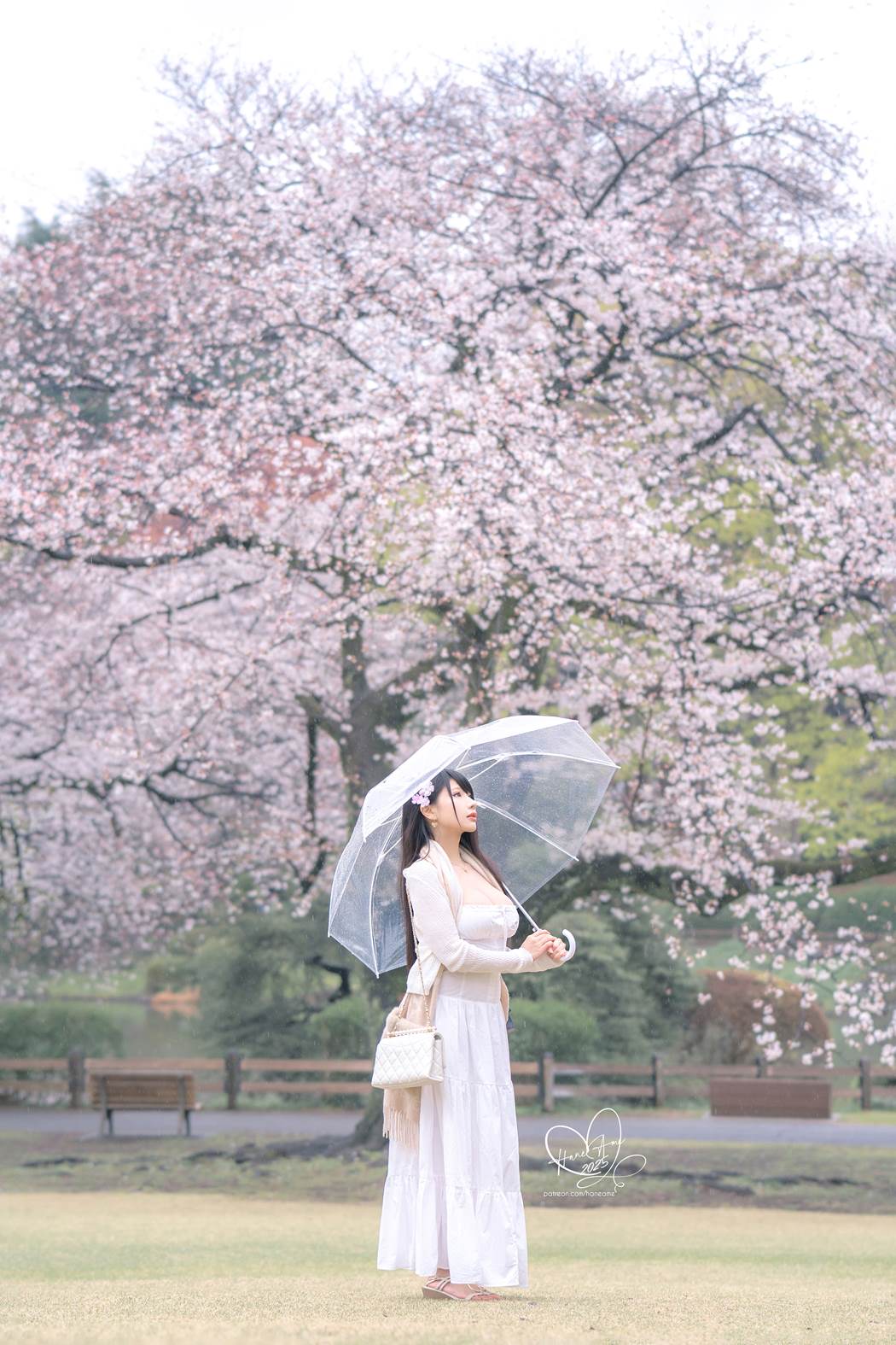 图片[63]-Hane Ame 雨波写真 NO.258 – 雨樱下的约定[63P] – 速更版-美库