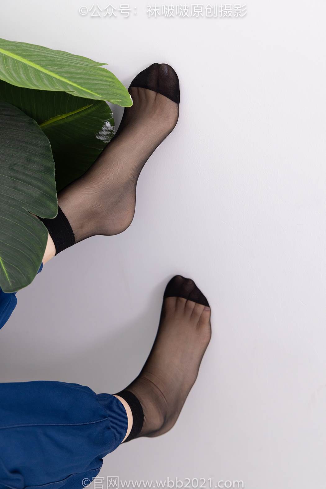 图片[78]-[BoBoSocks袜啵啵]NO.584 香菜 校服、板鞋、短黑丝[117P] – 速更版-美库