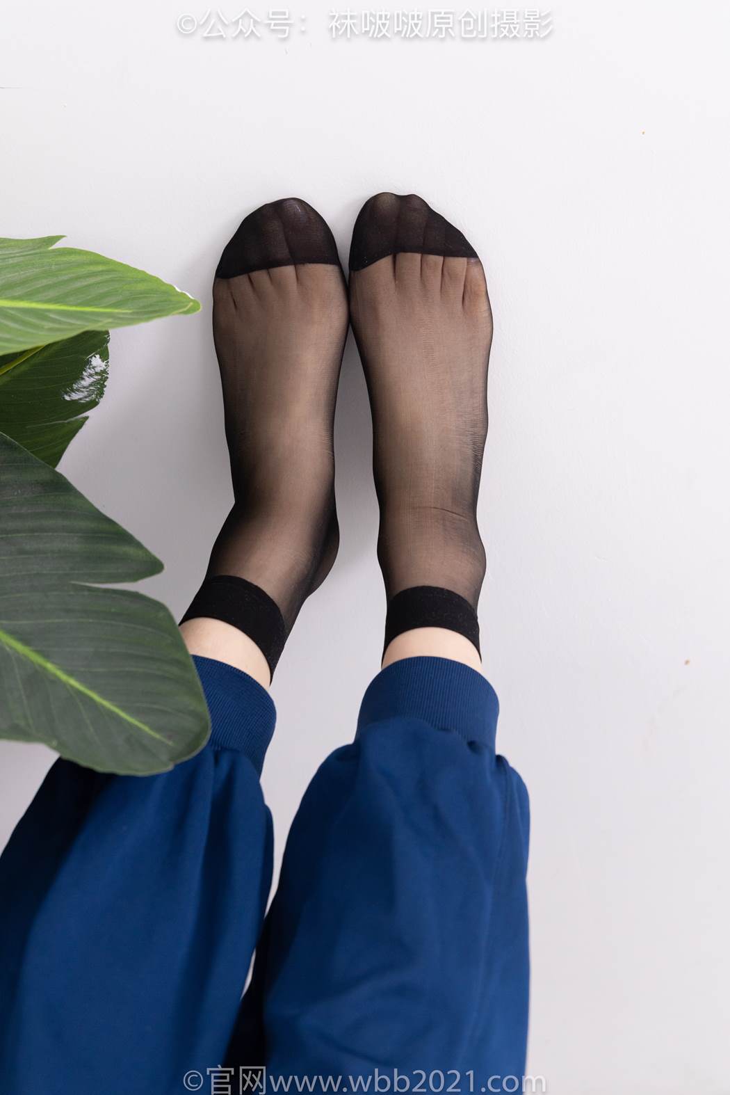 图片[79]-[BoBoSocks袜啵啵]NO.584 香菜 校服、板鞋、短黑丝[117P] – 速更版-美库