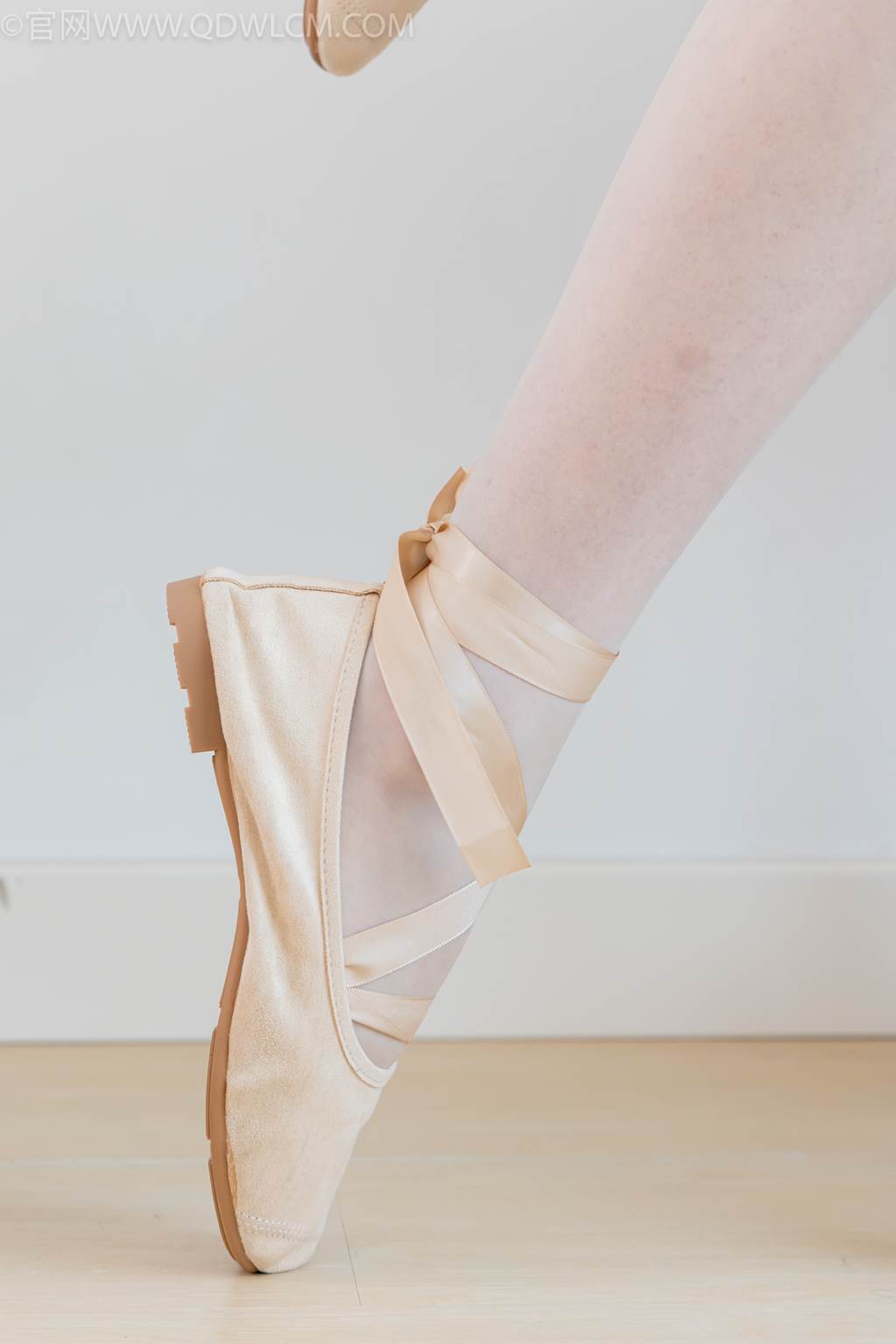 图片[145]-物恋传媒 NO.2449 泡泡-舞蹈鞋、薄肉丝脚尖透明款[171P] – 速更版-美库