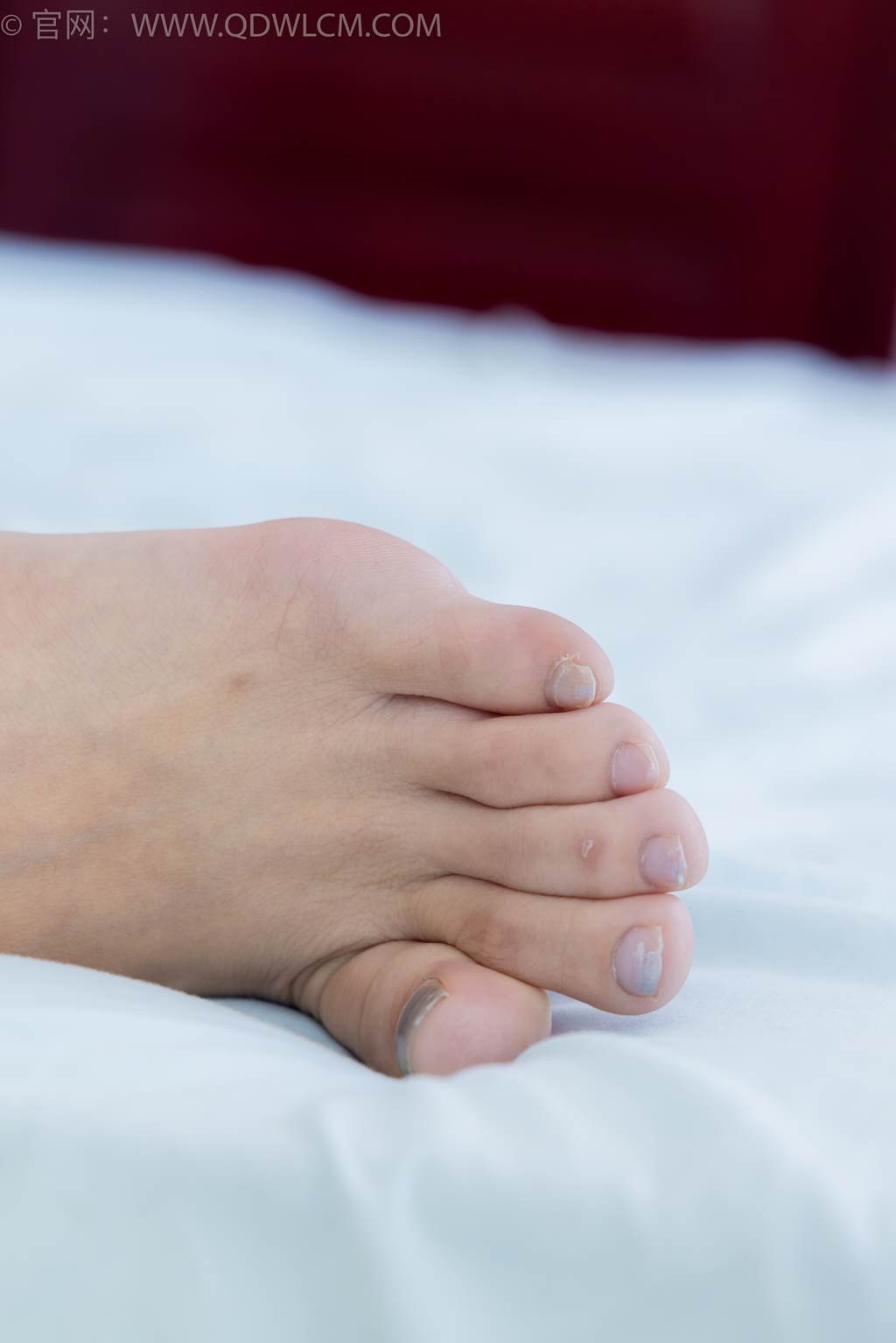 图片[122]-物恋传媒 NO.2455 茯苓-高跟凉鞋、薄黑丝、裸足、兔女郎[140P] – 速更版-美库