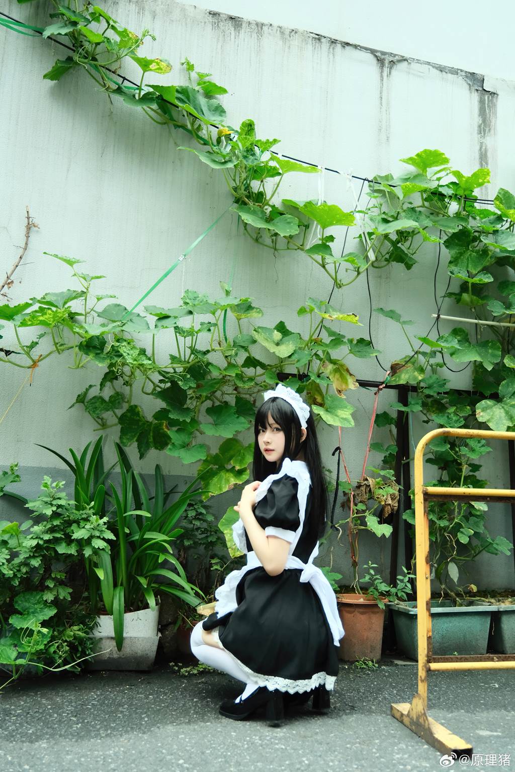 图片[12]-白莉爱吃巧克力 – 原理猪 深巷女仆[11P] – 速更版-美库