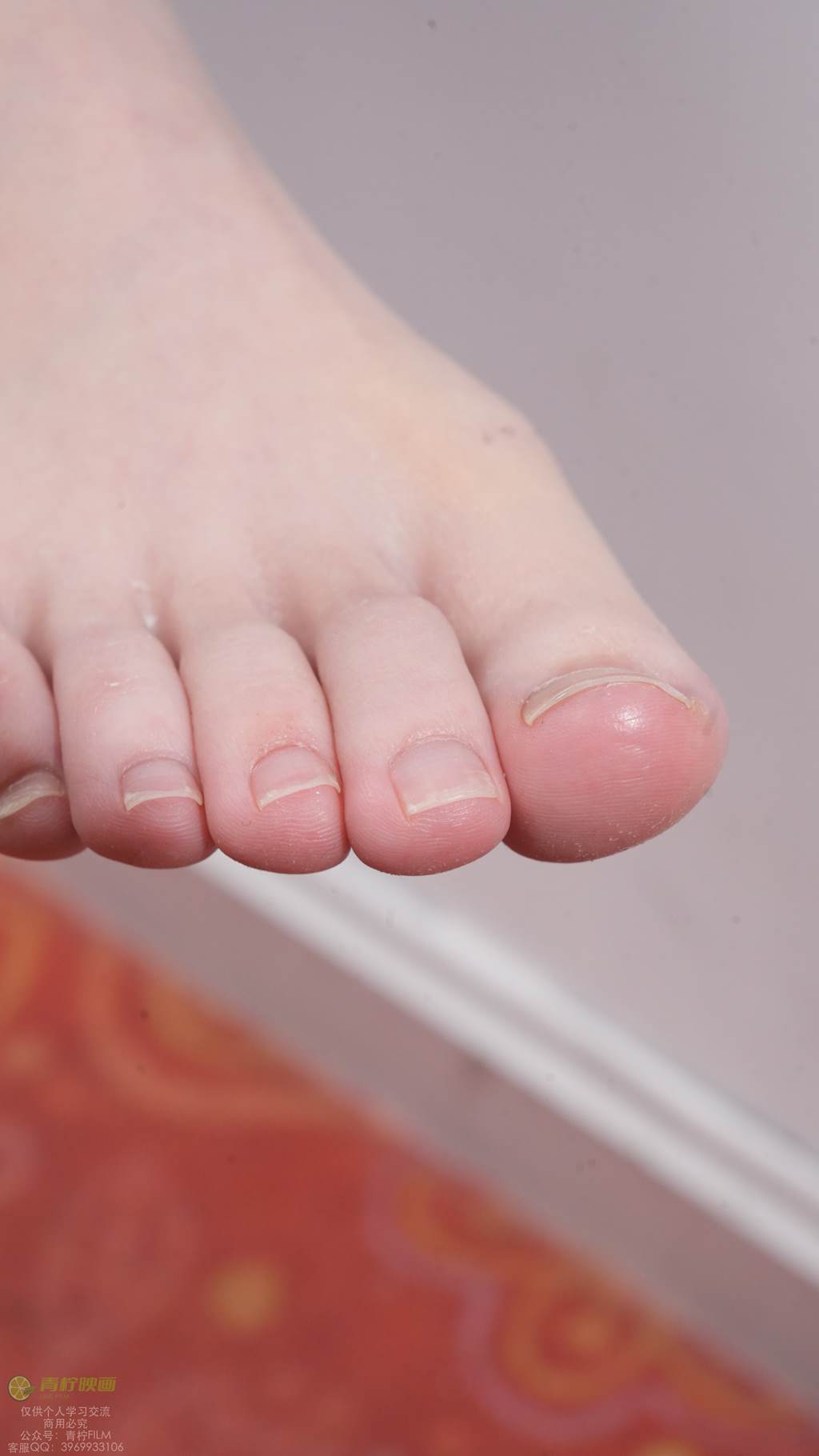 图片[17]-青柠映画 NO.039 – AN 西装红酒[106P] – 速更版-美库