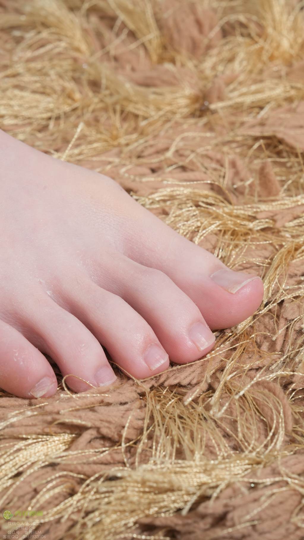 图片[42]-青柠映画 NO.039 – AN 西装红酒[106P] – 速更版-美库