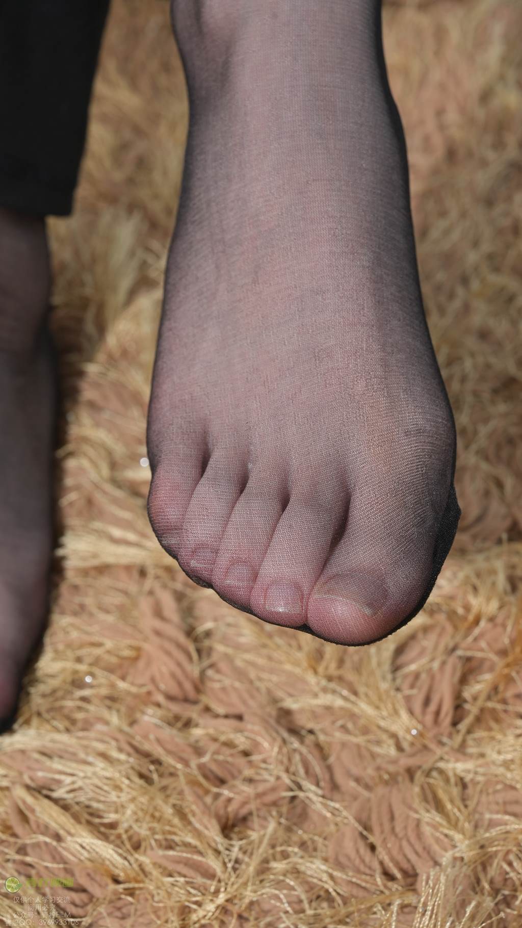 图片[70]-青柠映画 NO.039 – AN 西装红酒[106P] – 速更版-美库