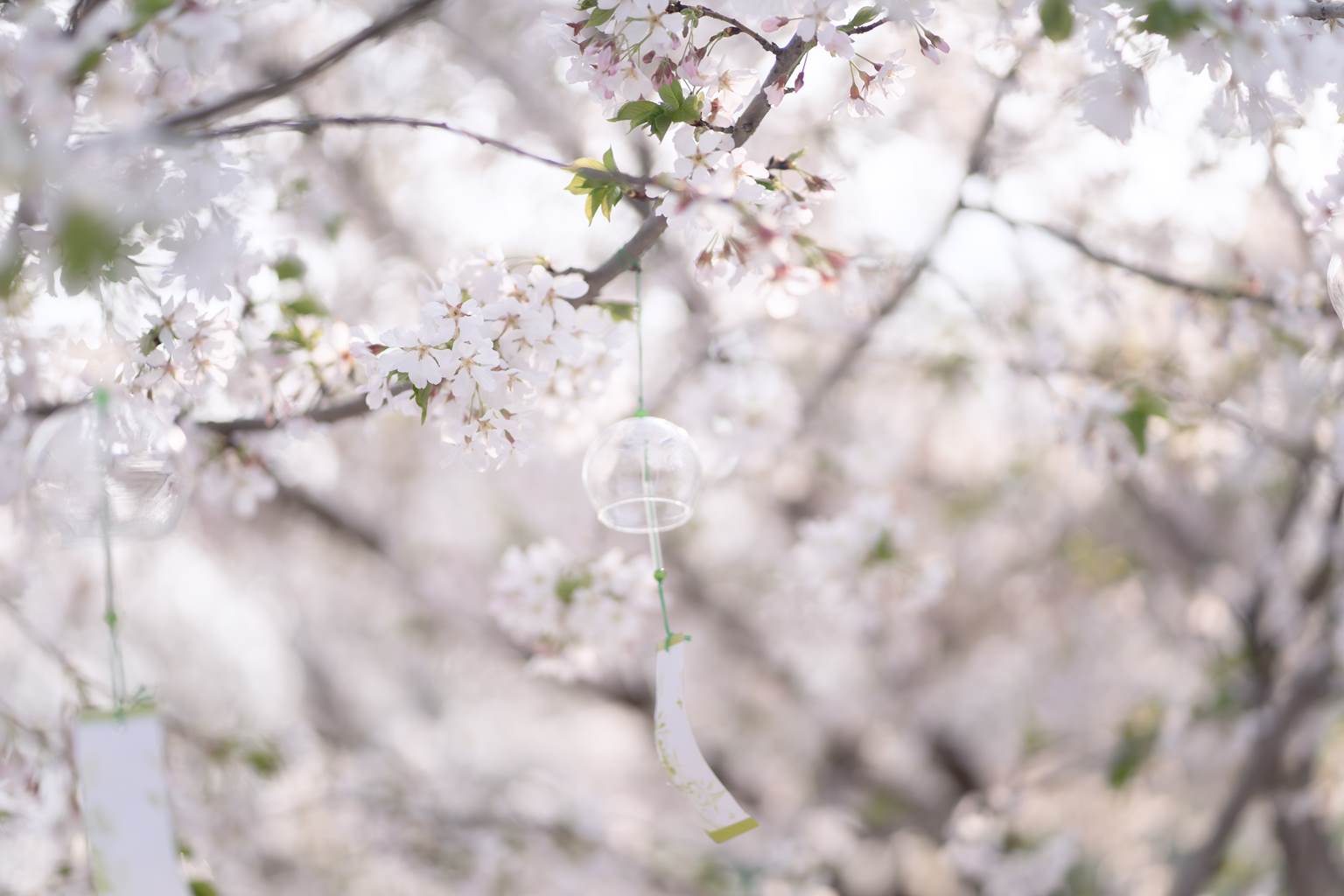 图片[24]-[YITUYU艺图语]2022.11.05 玲珑 -绮罗生的小苏苏-[27+1P] – 速更版-美库