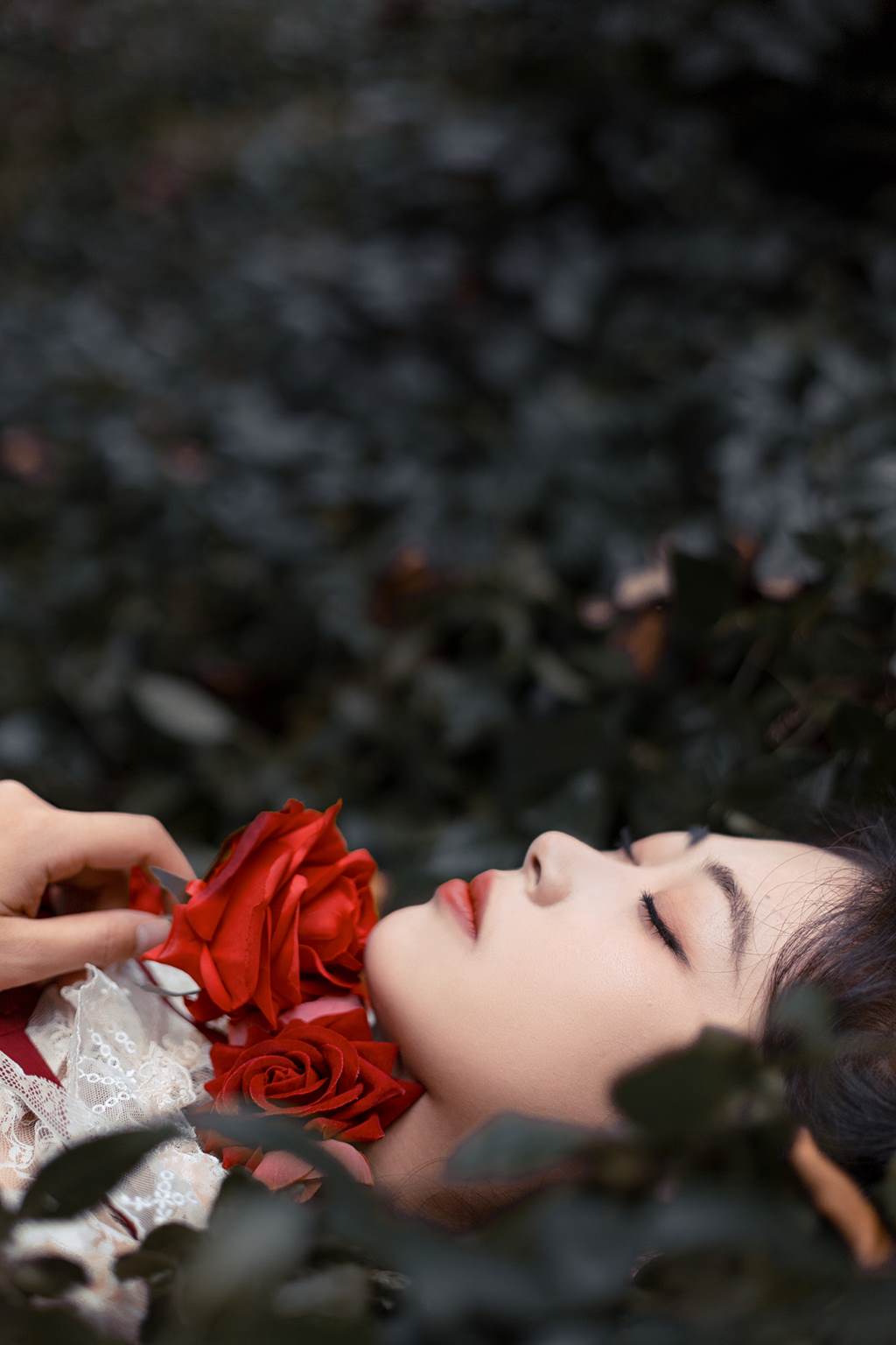 图片[26]-[YITUYU艺图语]2022.11.05 最后一朵玫瑰 ASOE[24+1P] – 速更版-美库