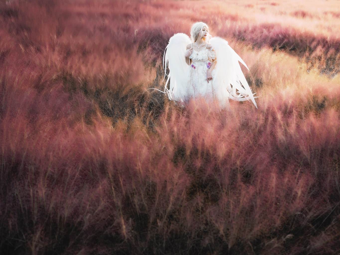 图片[26]-[YITUYU艺图语]2022.11.06 粉天使 清青琴玖[24+1P] – 速更版-美库