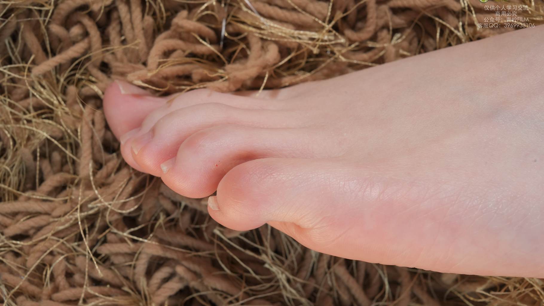 图片[75]-青柠映画 NO.044 – AN 短裤皮衣套装[130P] – 速更版-美库