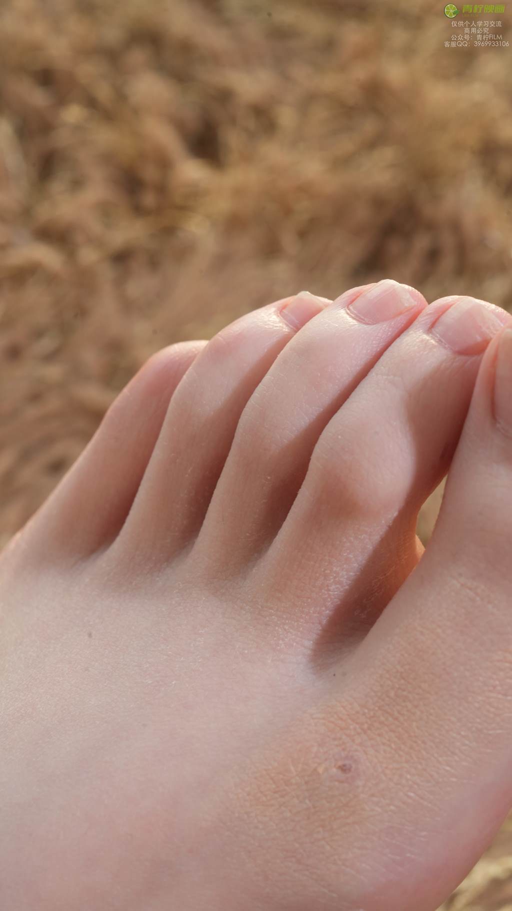 图片[101]-青柠映画 NO.044 – AN 短裤皮衣套装[130P] – 速更版-美库