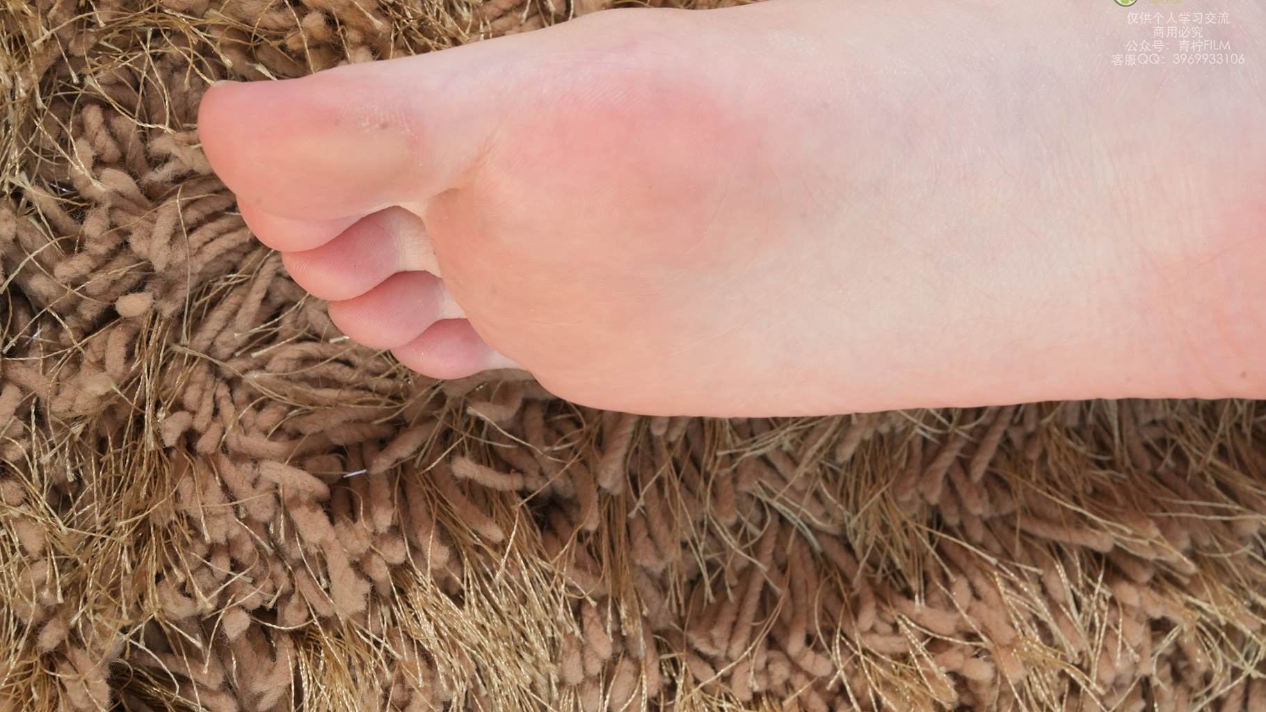 图片[131]-青柠映画 NO.044 – AN 短裤皮衣套装[130P] – 速更版-美库