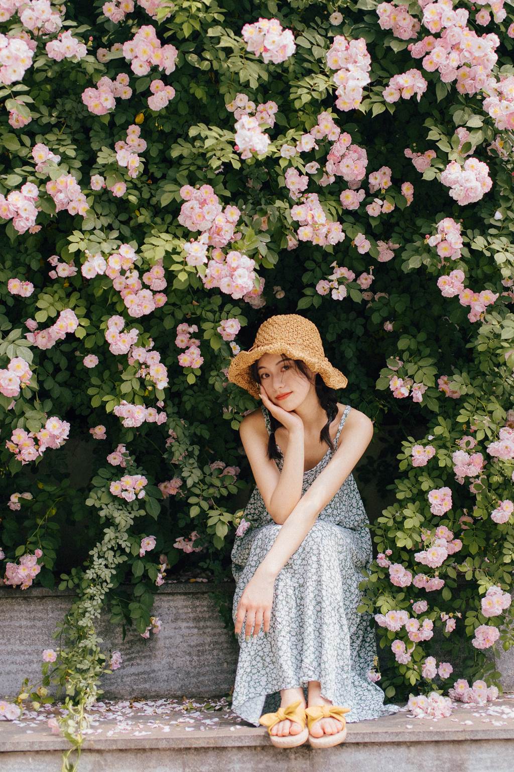 图片[17]-[YITUYU艺图语]2022.11.08 蔷薇 九月[26+1P] – 速更版-美库