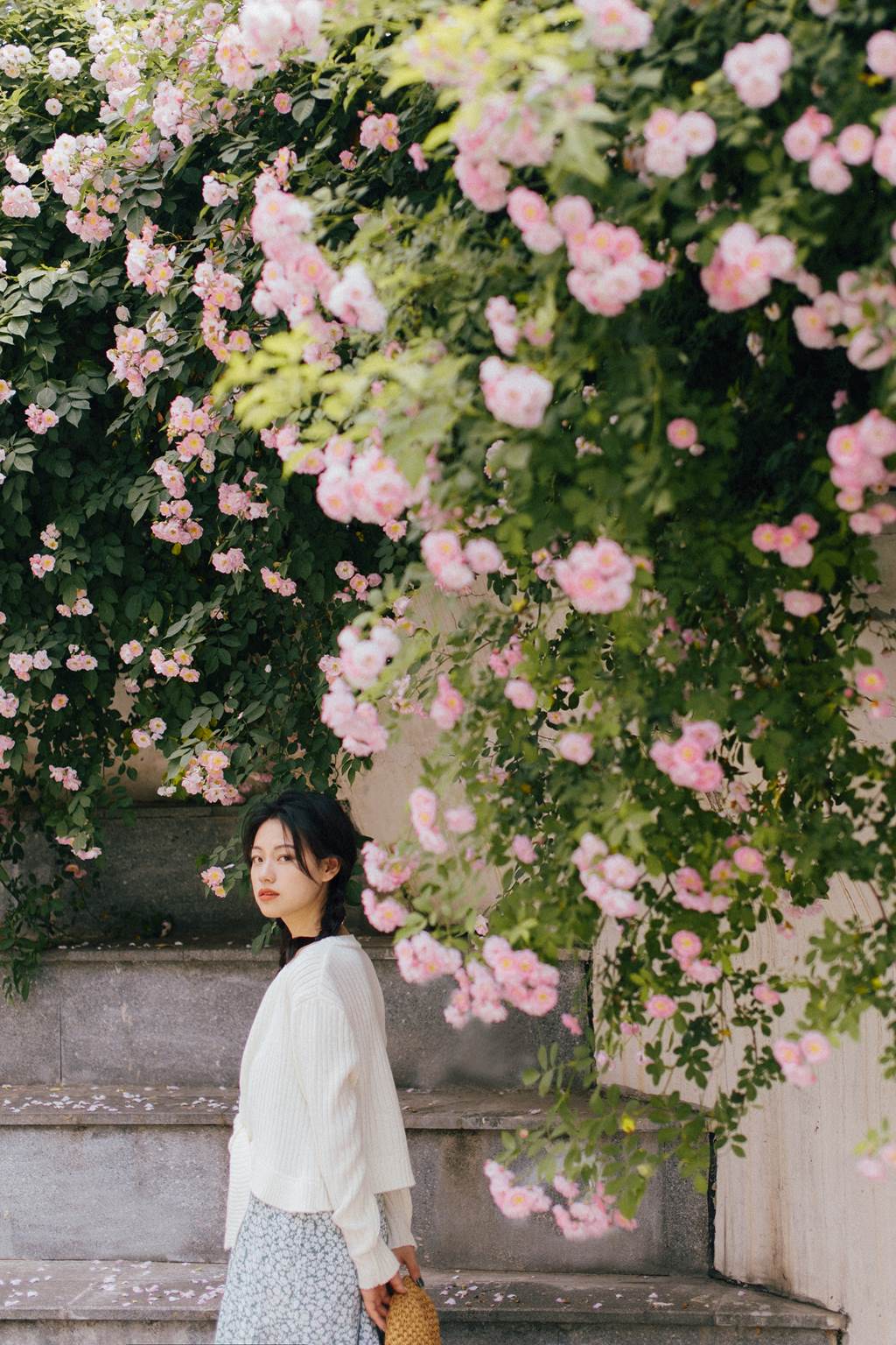 图片[23]-[YITUYU艺图语]2022.11.08 蔷薇 九月[26+1P] – 速更版-美库