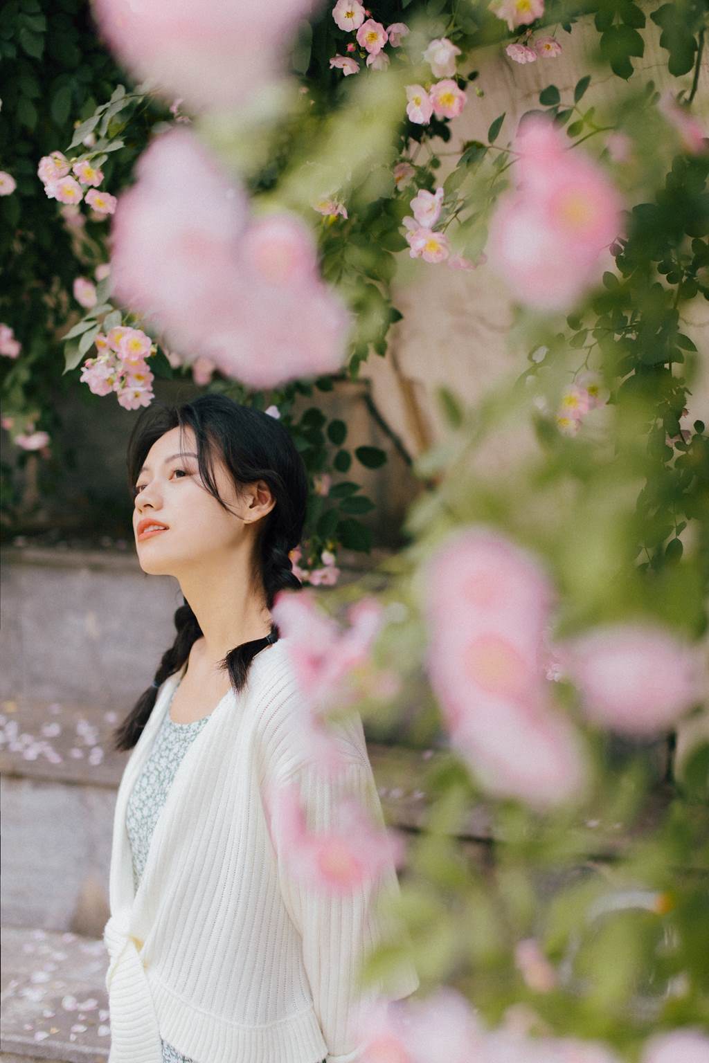 图片[24]-[YITUYU艺图语]2022.11.08 蔷薇 九月[26+1P] – 速更版-美库