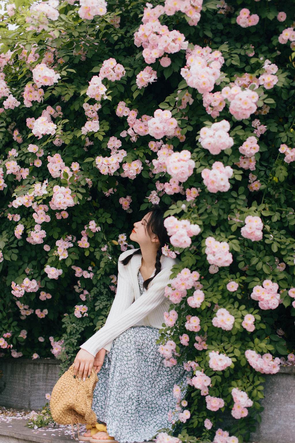 图片[27]-[YITUYU艺图语]2022.11.08 蔷薇 九月[26+1P] – 速更版-美库