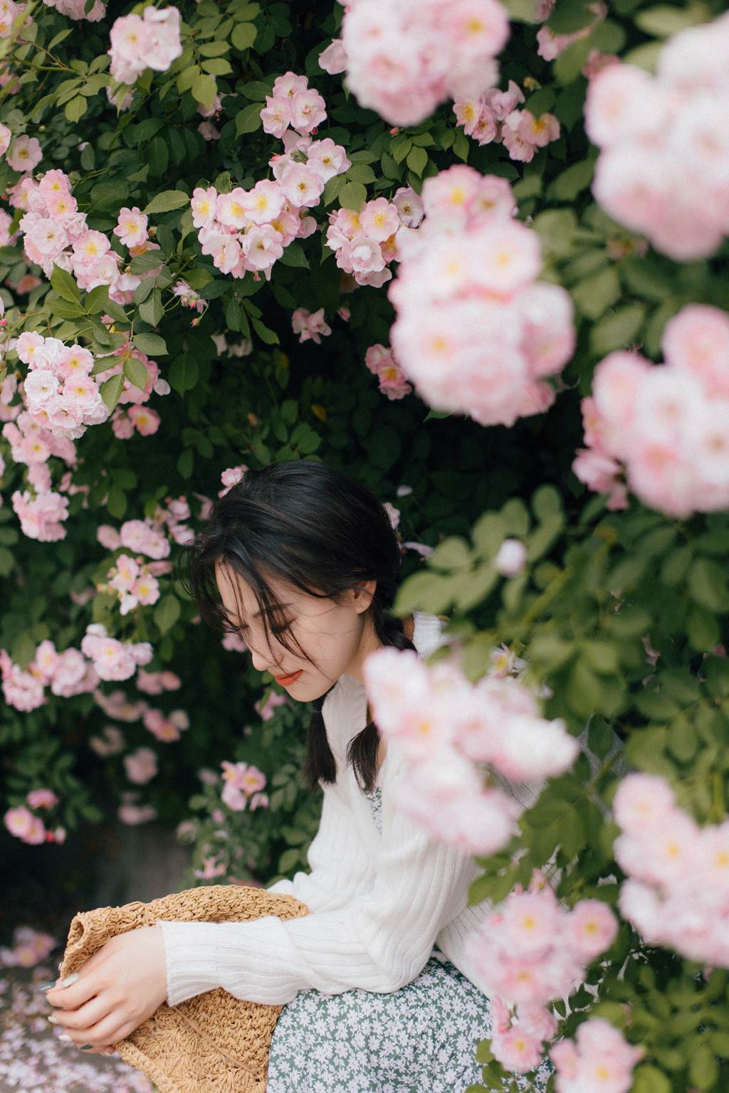 图片[28]-[YITUYU艺图语]2022.11.08 蔷薇 九月[26+1P] – 速更版-美库