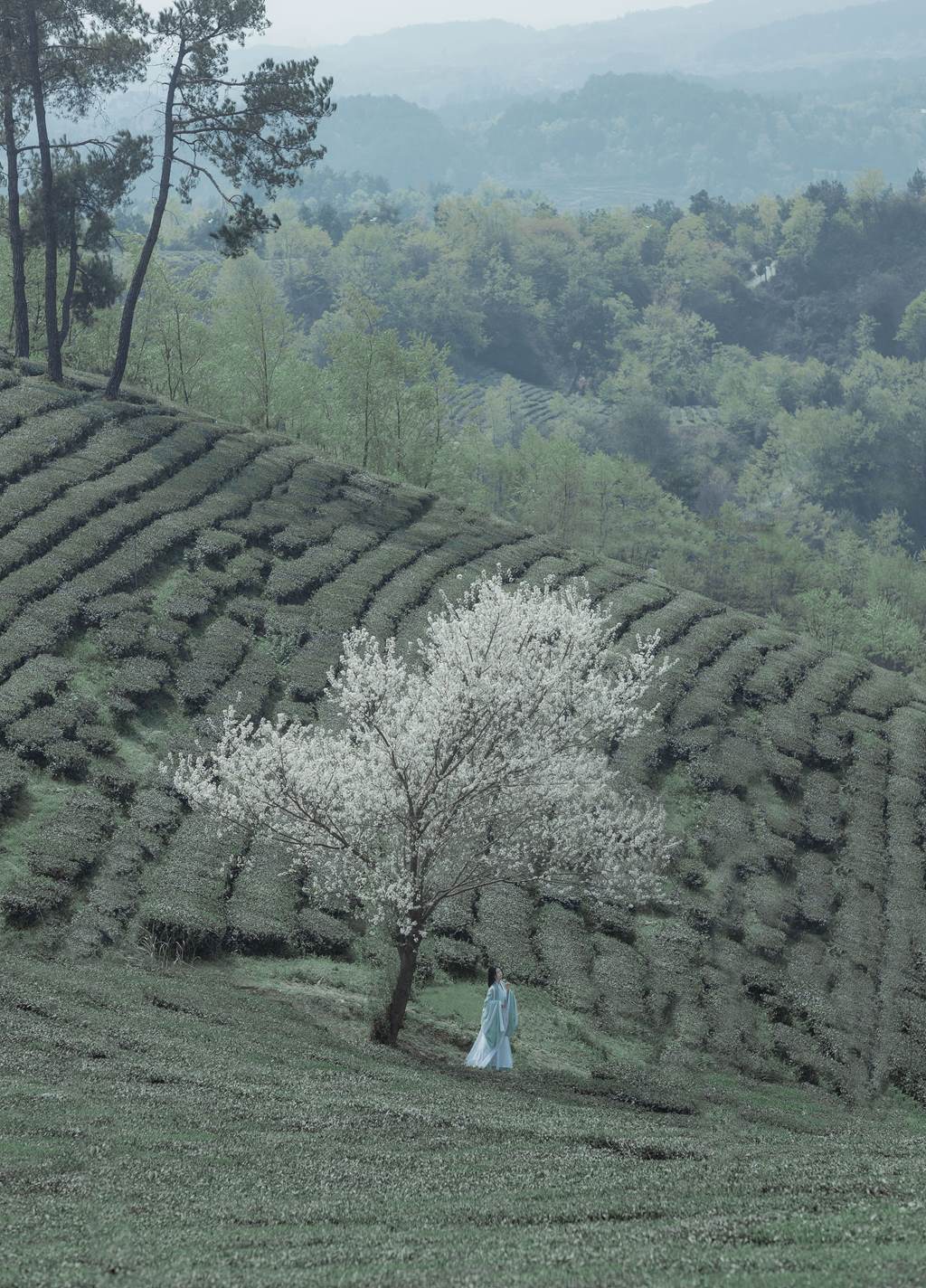 图片[14]-[YITUYU艺图语]2022.11.09 一梦浮生 _Bllc[20+1P] – 速更版-美库