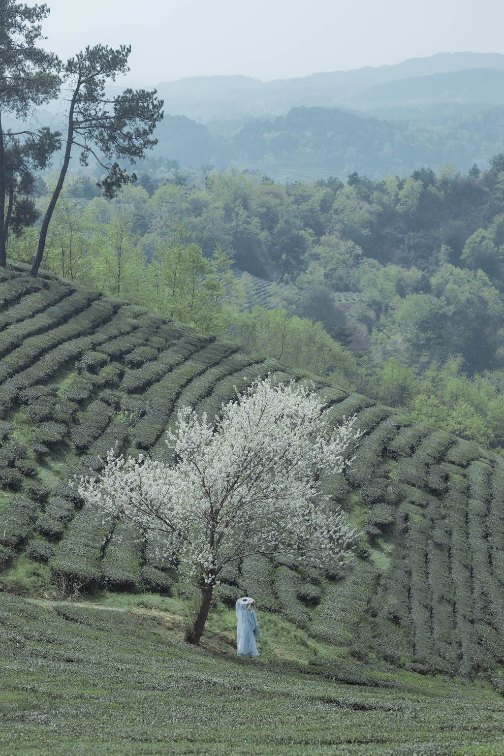 图片[15]-[YITUYU艺图语]2022.11.09 一梦浮生 _Bllc[20+1P] – 速更版-美库