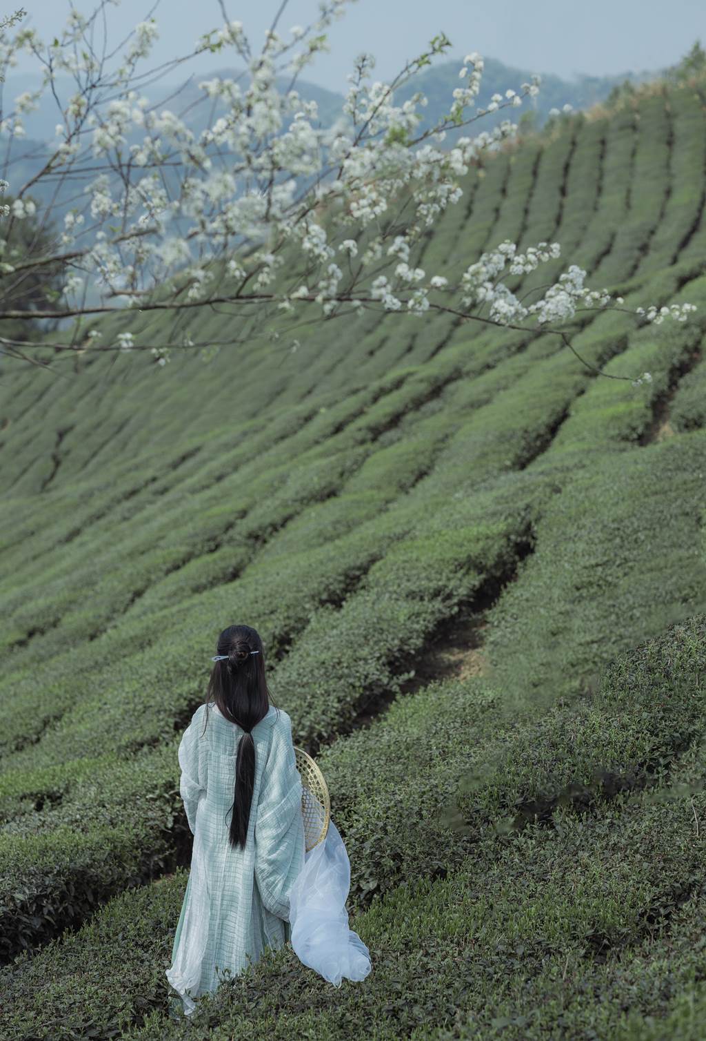 图片[17]-[YITUYU艺图语]2022.11.09 一梦浮生 _Bllc[20+1P] – 速更版-美库