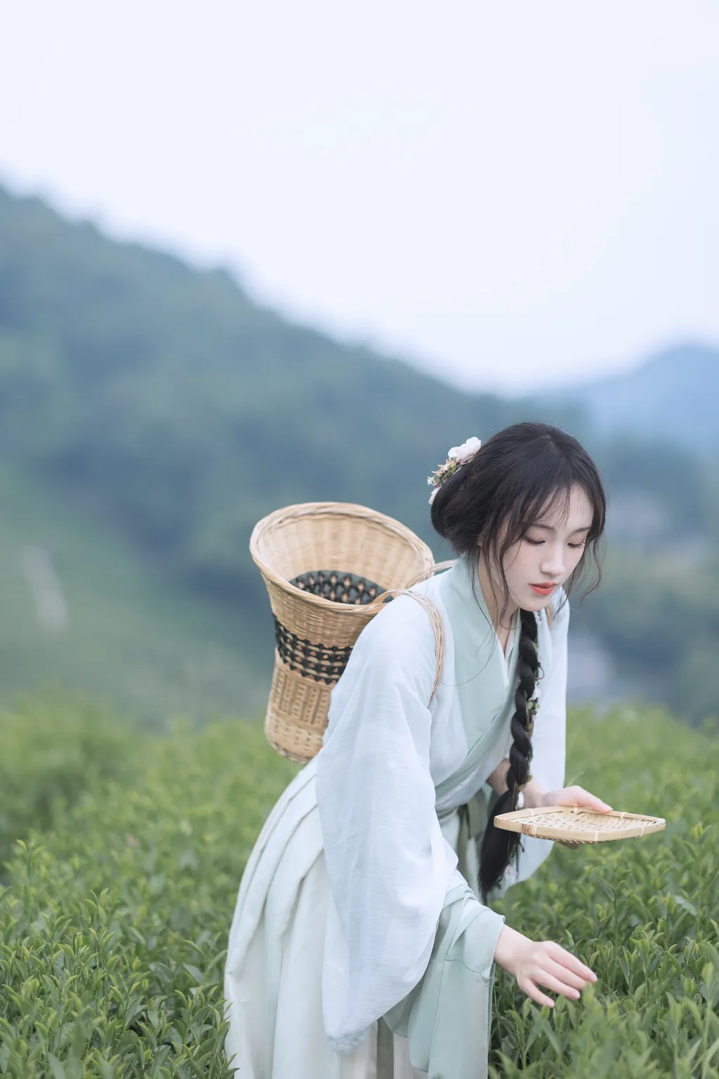 图片[16]-[YITUYU艺图语]2022.11.10 采茶纪 方莛玉[53+1P] – 速更版-美库