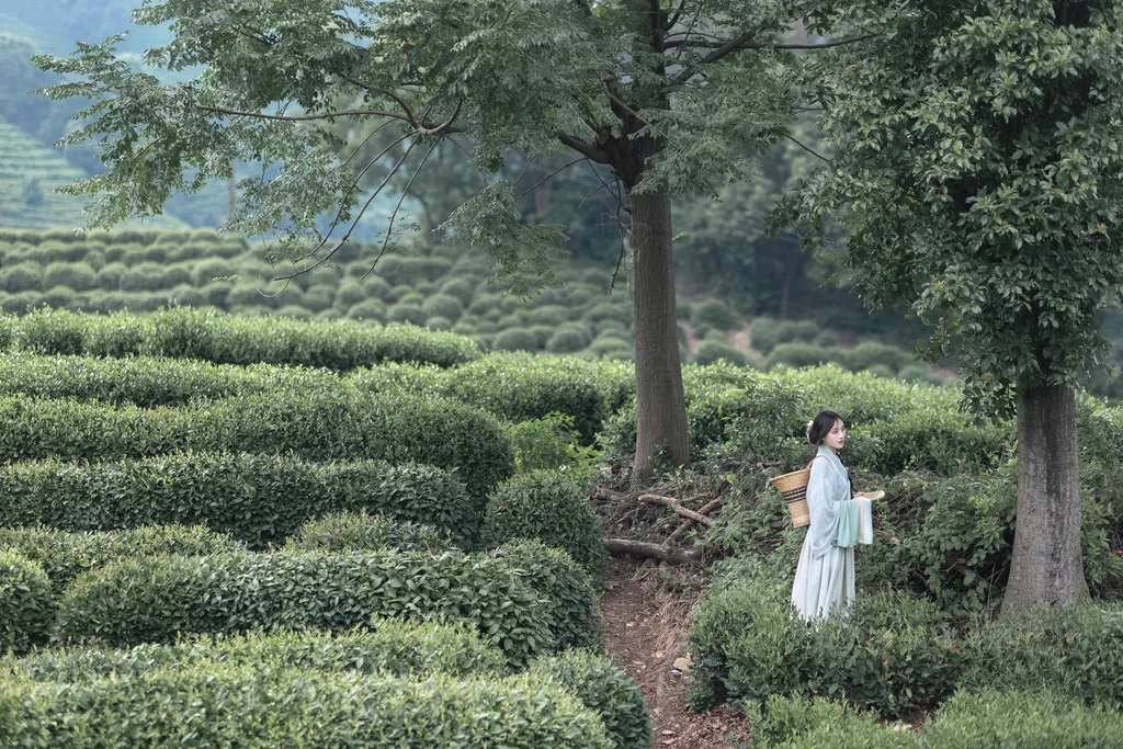 图片[27]-[YITUYU艺图语]2022.11.10 采茶纪 方莛玉[53+1P] – 速更版-美库